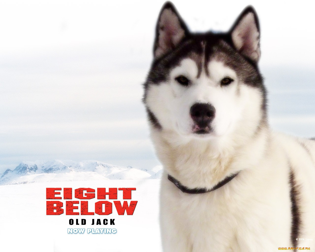 , , eight, below